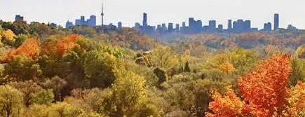 Parks Canada & 10,000 Trees, Site Setup, Sat. Oct. 17, 2026 - 8 AM-2 PM