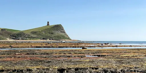 Rockpool Ramble at Kimmeridge