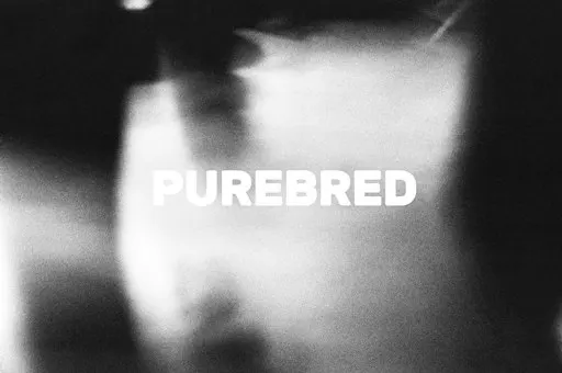 PUREBRED – Premiere