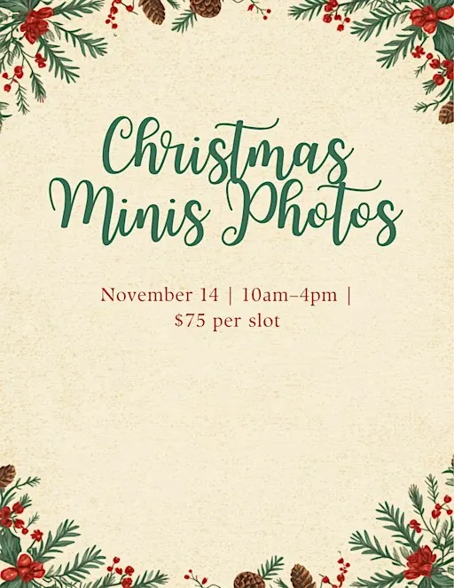 Christmas minis