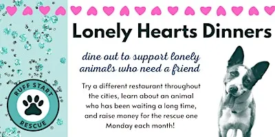 Lonely Hearts Dinner: Noodles & Company - Maple Grove