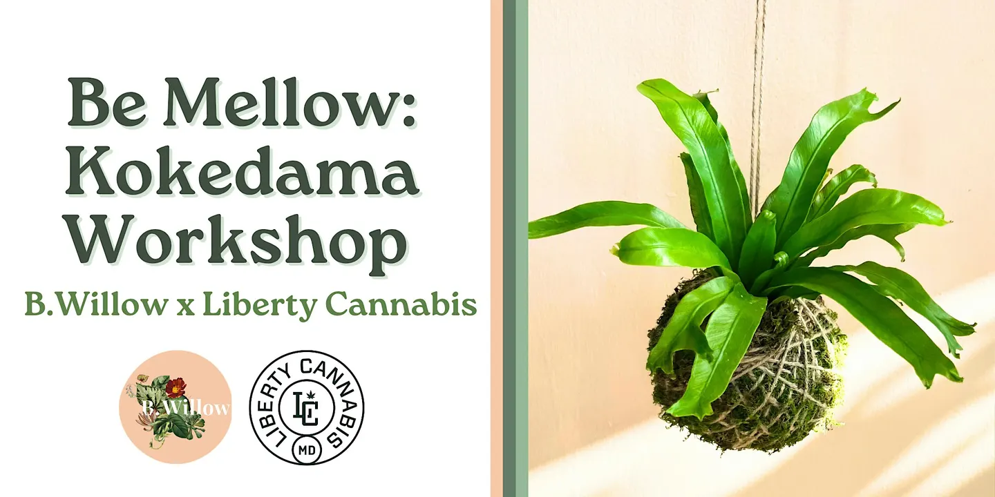 Be Mellow: Kokedama Workshop with Liberty Cannabis!