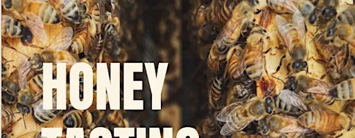 Honey Tasting