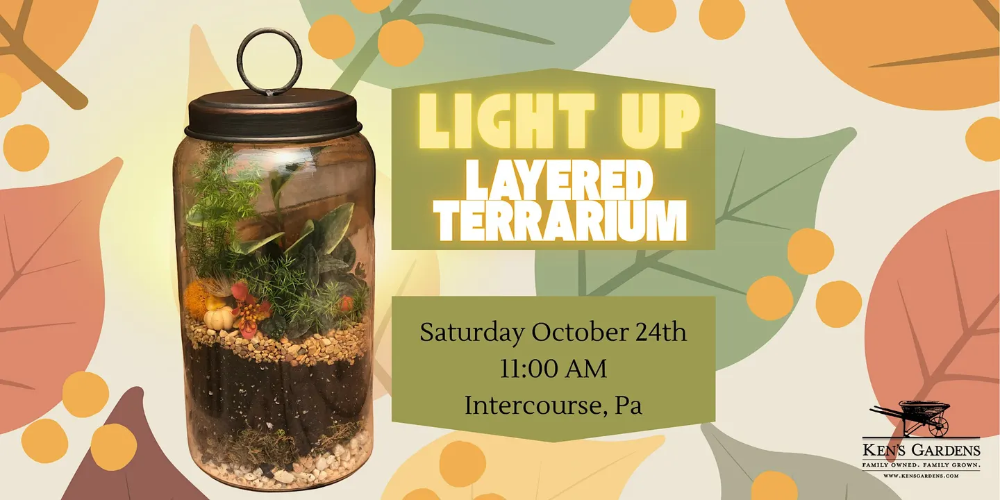 Light Up Layered Terrarium (Intercourse Location)