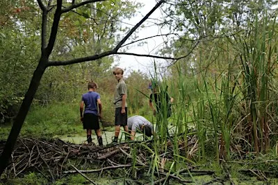 PA Day Nature Camp - Nature's Engineers