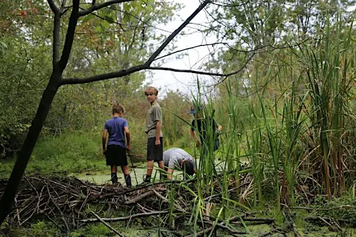 PA Day Nature Camp - Wild Before Winter
