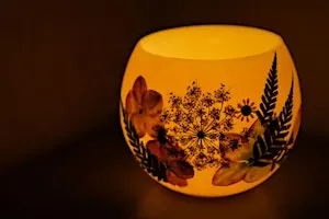 Luminary Workshop in the Greenhouse