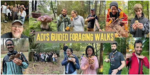 Guided Mushroom Foraging Walk - Mid Season