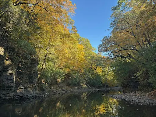 Chicago, IL: Community Fly Fishing - On Water Instructional