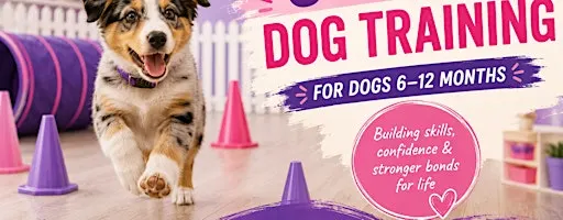 Saturday Group Dog Training Classes | Junior (6-12 months)