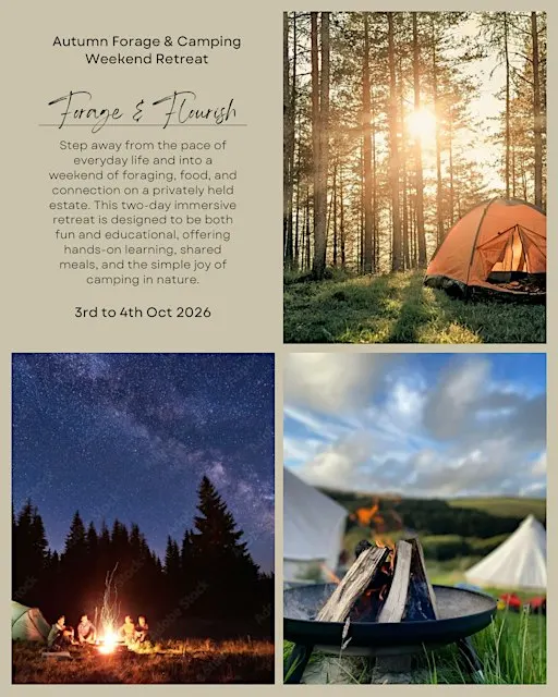 3rd to 4th Oct 2026: Autumn Forage & Camping Weekend Retreat