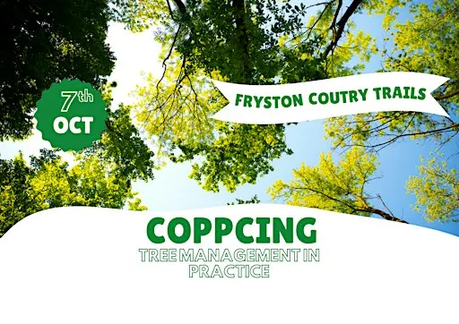 Coppicing in Practice Home Education Session