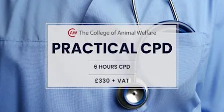 VETS: ECG Case Studies - Leeds