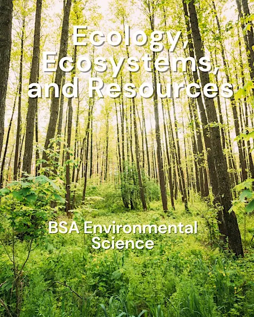 Burpee Museum BSA: Environmental Science Merit Badge- In Person