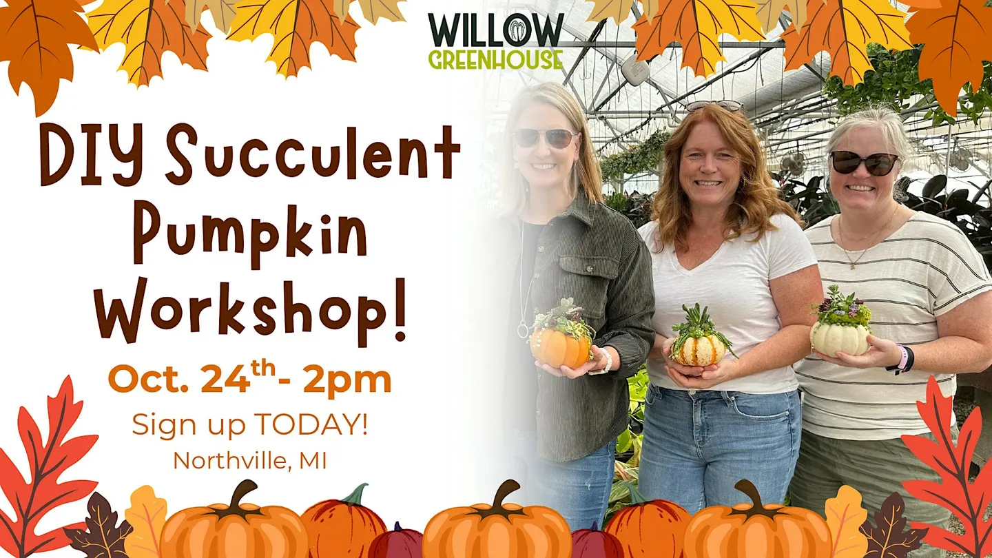 10/24 Succulent Pumpkin Workshop!