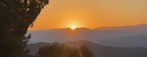 Rise & Shine Morning Yoga | 6-Week English Yoga Block