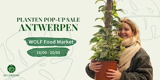 Planten Pop-Up Sale Antwerpen: Lekker groen!