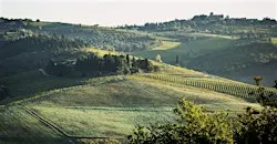 Tuscany vs Piedmont, the best of Italy!
