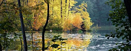 Schlaubetal: Brandenburg's Quality Hiking Route