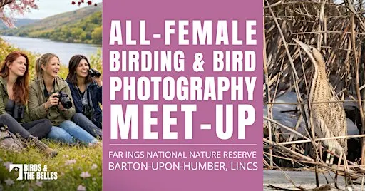 All-Female Bird & Bird Photography Morning