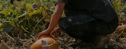 Autumn Equinox at My Little Farm
