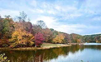 Fall Frolic: Half-day Hiking and Yoga Retreat