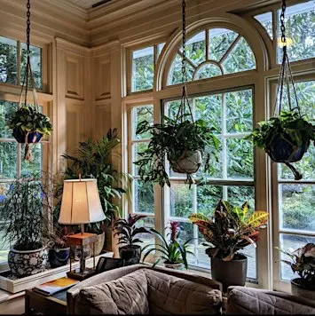 Houseplant Migration
