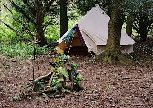 The Woodland Way of the Wee Folk