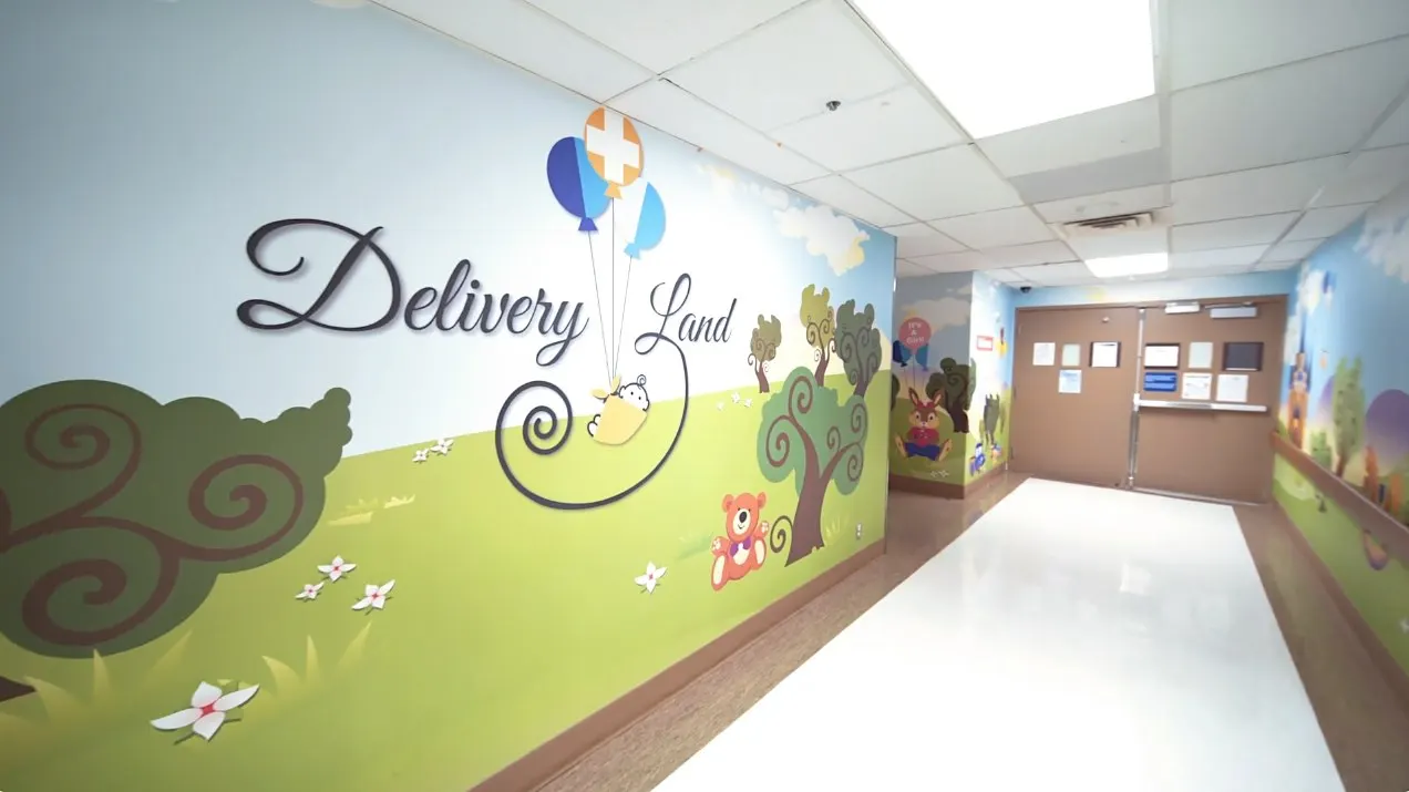 Delivery Land Hospital Tour
