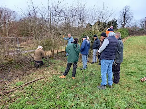 Traditional Woodland Skills: Hedge laying