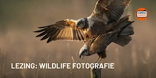 Lezing: Wildlife fotografie door Ludo Goossens