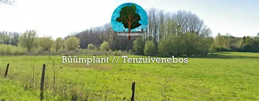 Bûûmplant // Tenzuivenebos (vr- vm)