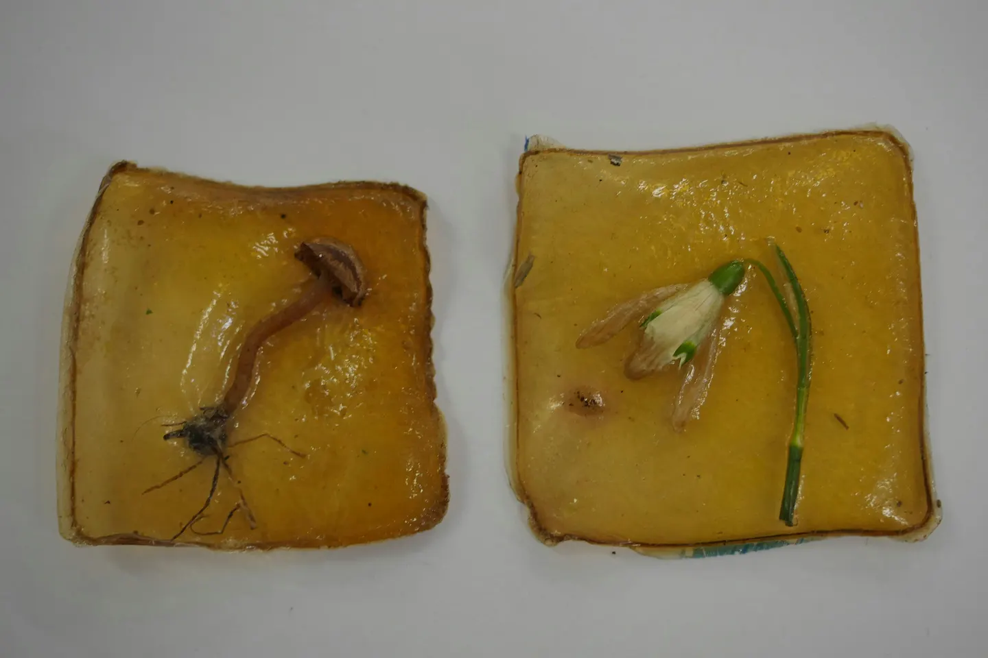Biomaterials workshop with Sophie L Ferrier