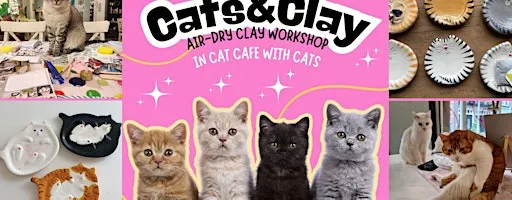 Cats&Clay - clay workshop in cat cafe with cats - Tilburg