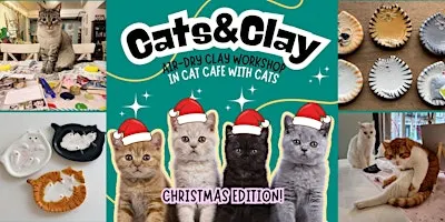 Cats&Clay - clay workshop in cat cafe with cats - Tilburg Christmas edition