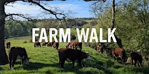 Stacking enterprises at Treway Farm