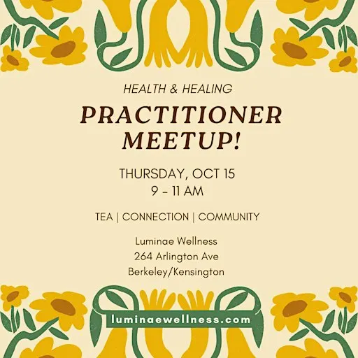 Practitioner Meetup!