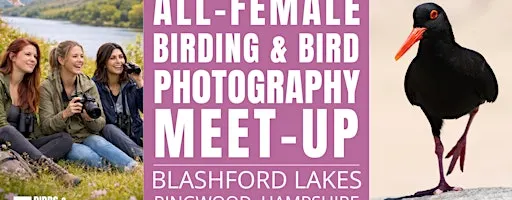 All-Female Bird & Bird Photography Morning