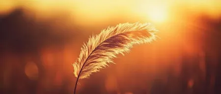Open to Receive: Sound & Messages from Spirit