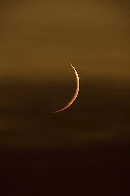10/10 Portal + New Moon Meeting - Libra 2026