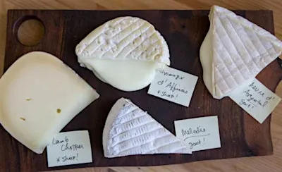Classic Class: Milk Matters—Sheep, Cow, Buffalo, Goat, $75