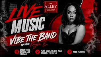Live On Stage: Vibe The Band