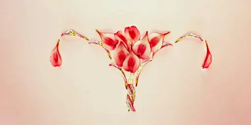 The Womb Healing Circle