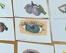 Wo 14 okt | Schilderen met Acryl | 5 lessen | 8+