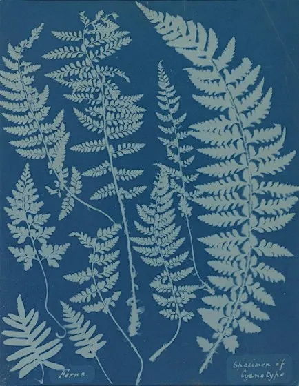Cyanotype & Macramé - Fryston Community Centre
