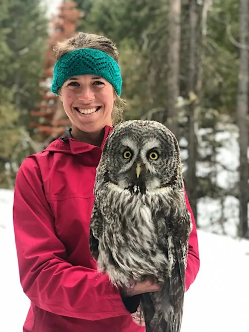 15th Annual Fall Forum: Great Gray Owls of the Yellowstone Ecosystem