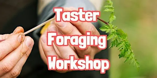 TASTER Foraging Workshop in Calderstones (Liverpool)