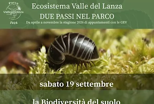 La Biodiversità del suolo