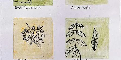 Plants and Pigments Workshop - College Lake, Thursday 24 September