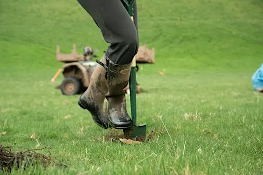 Landowner Workshop: funding and advice for planting trees on your farm